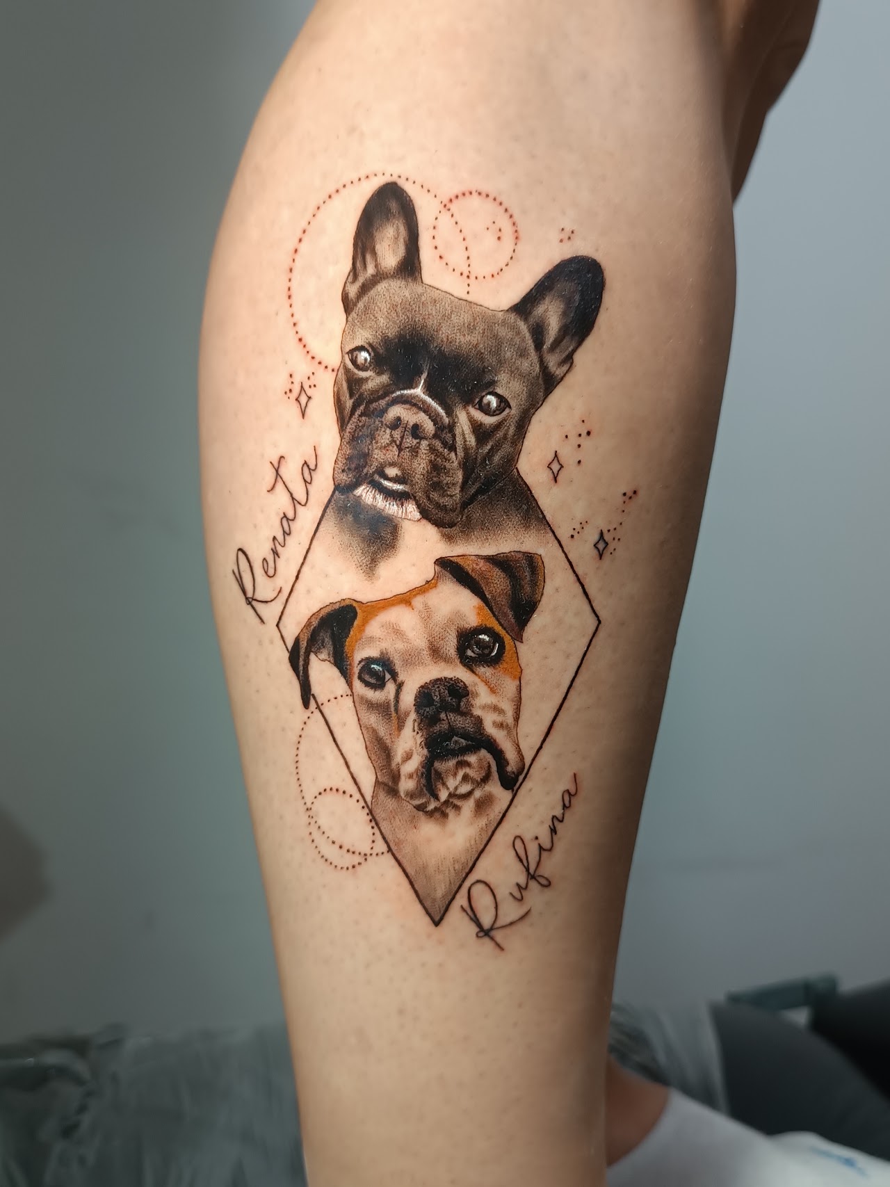 Doble retrato de mascotas con marco geométrico