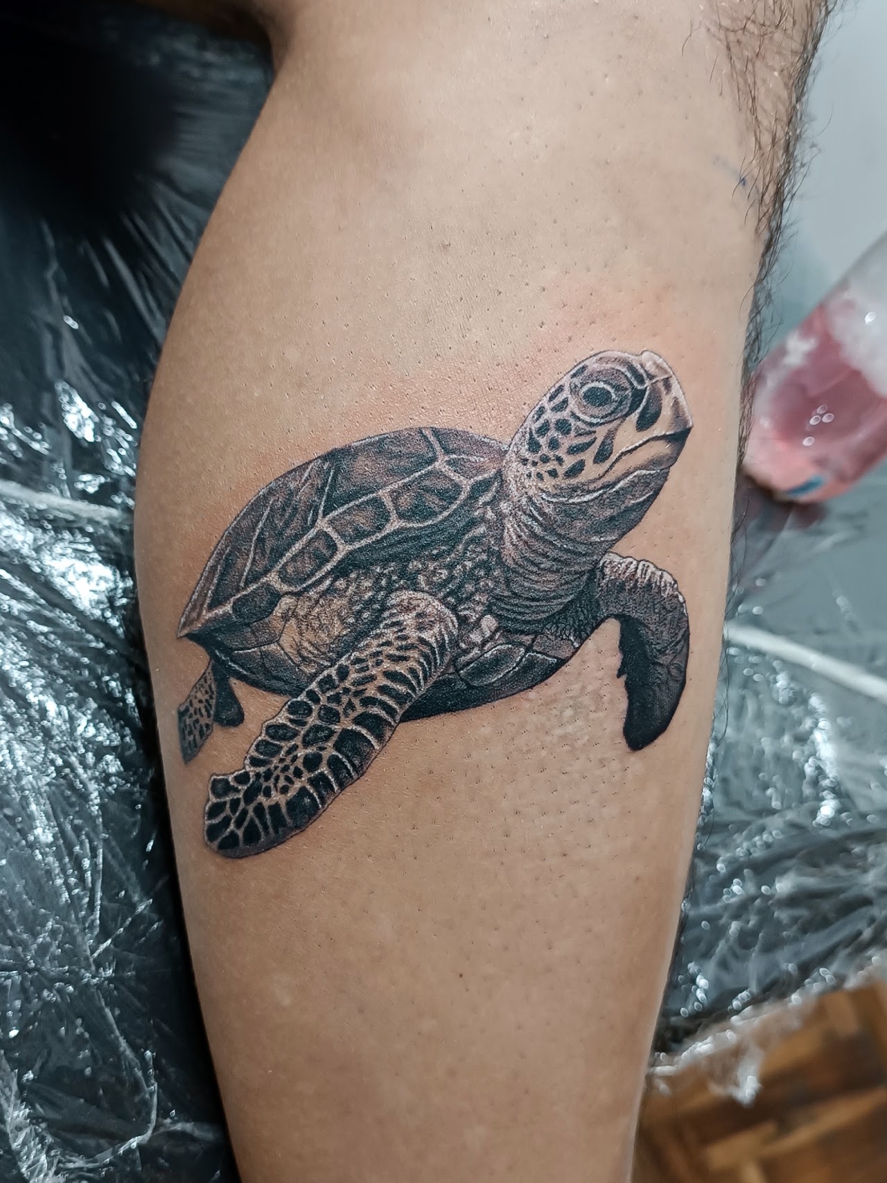 Tortuga marina en realismo black and grey
