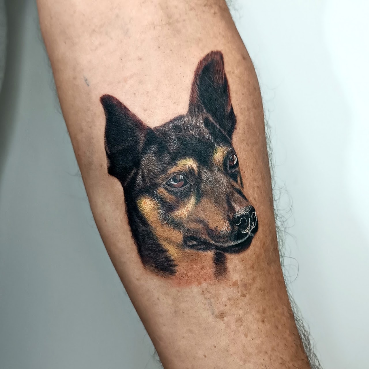 Retrato de mascota en realismo black and grey